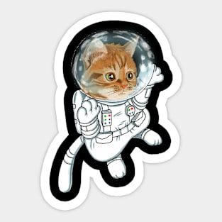 Space Kitty Sticker